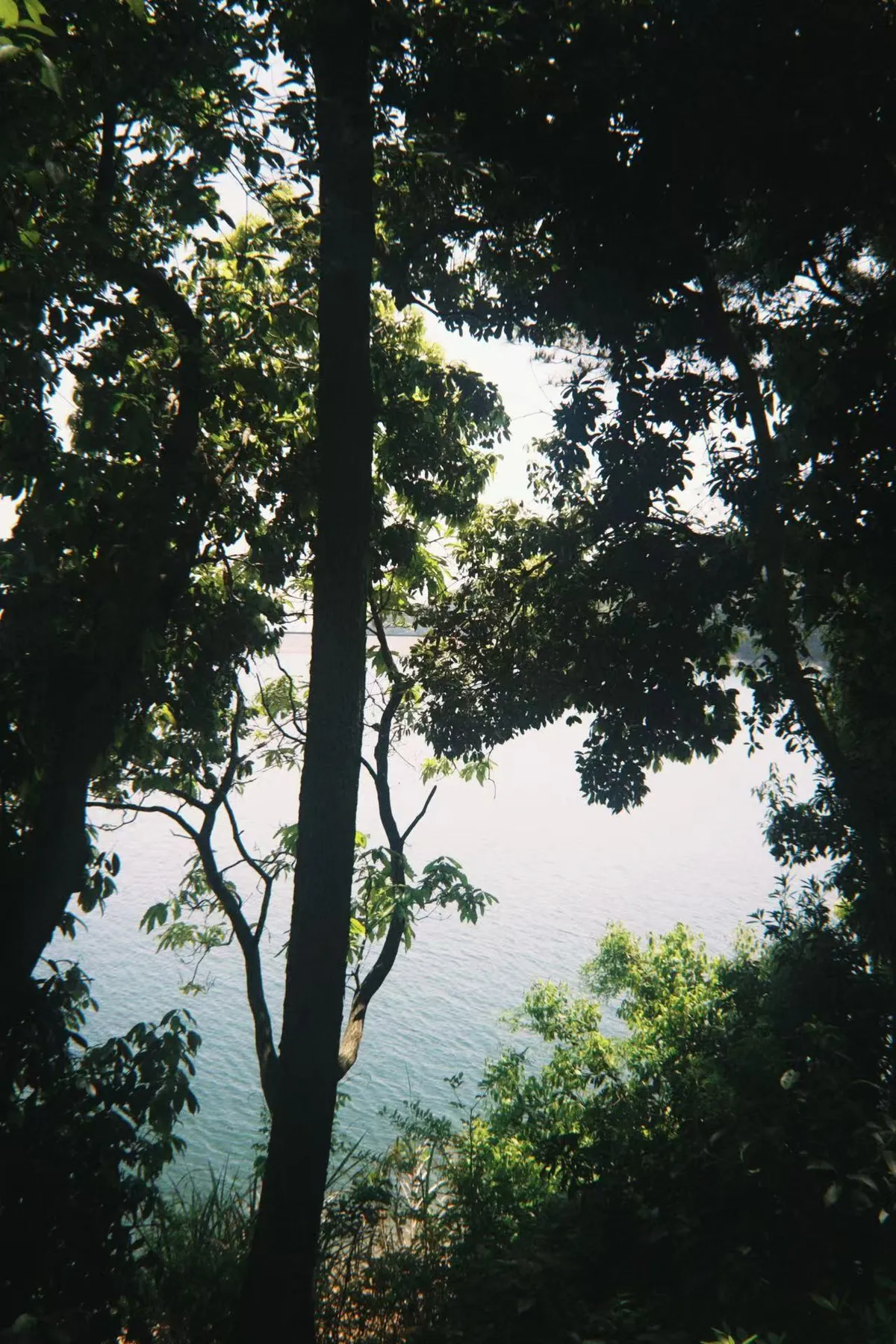 波光蓝天一色，湖很蓝，很美。